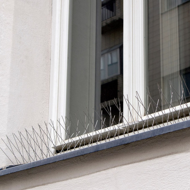 bird spikes on commercial property