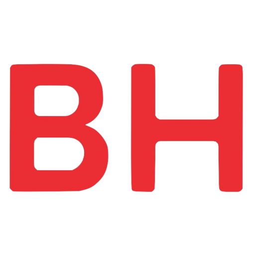 What Are The Problems Of Bed Bugs? BH Pest Control