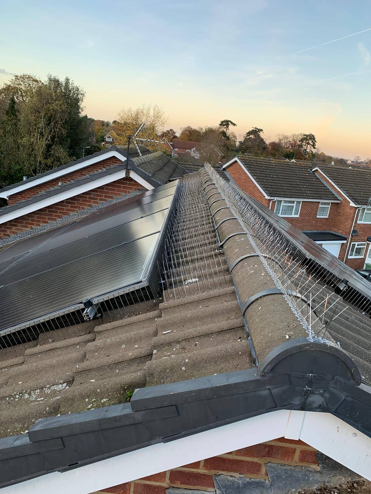 Pest Control Milton Keynes BH Pest Control