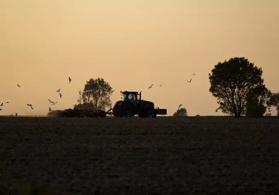 Tractor in a field surrounded by birds